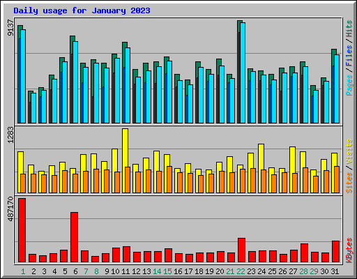 Daily usage for January 2023