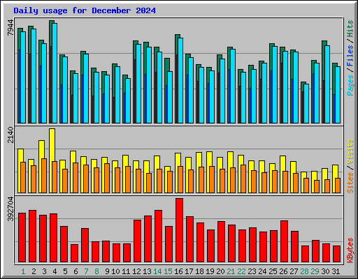 Daily usage for December 2024