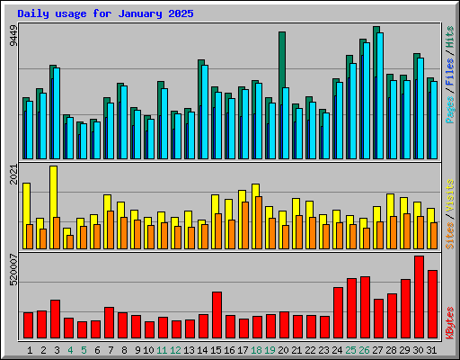 Daily usage for January 2025