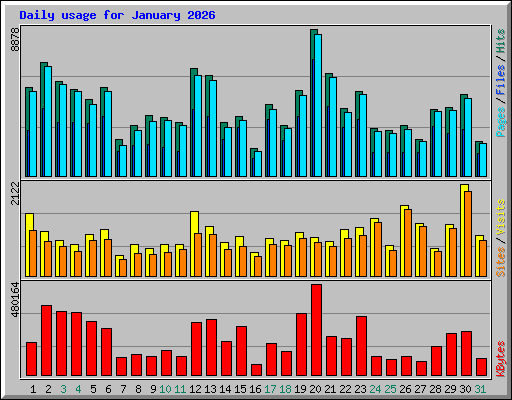 Daily usage for January 2026