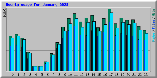 Hourly usage for January 2023
