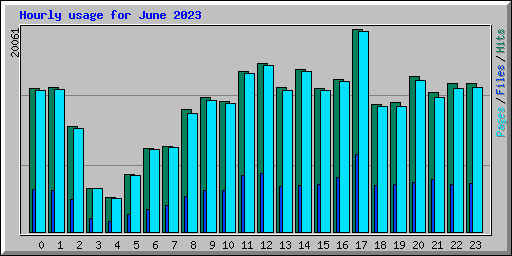 Hourly usage for June 2023
