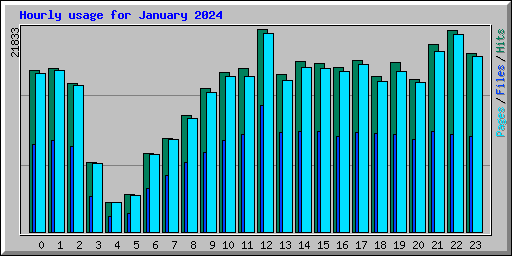 Hourly usage for January 2024