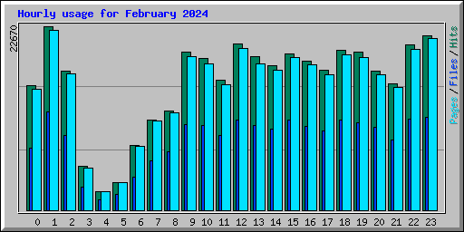 Hourly usage for February 2024
