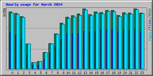 Hourly usage for March 2024