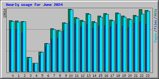 Hourly usage for June 2024