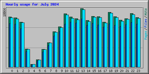 Hourly usage for July 2024