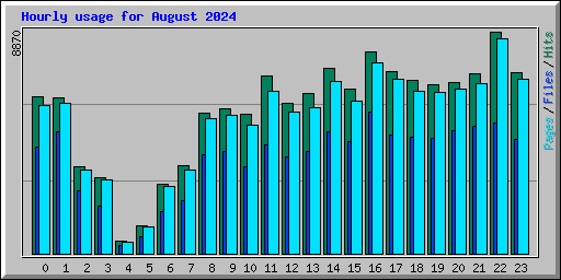 Hourly usage for August 2024