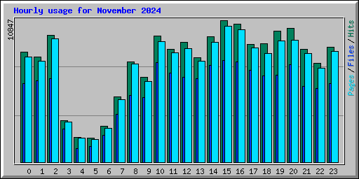 Hourly usage for November 2024