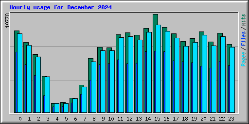 Hourly usage for December 2024