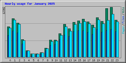 Hourly usage for January 2025