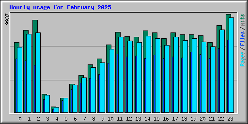 Hourly usage for February 2025