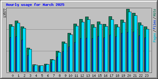 Hourly usage for March 2025