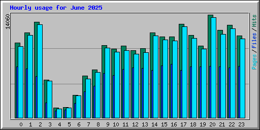 Hourly usage for June 2025