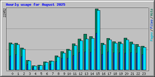 Hourly usage for August 2025
