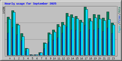 Hourly usage for September 2025