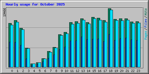 Hourly usage for October 2025