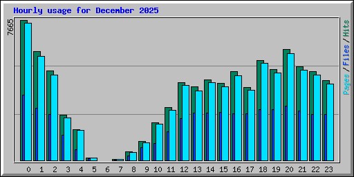 Hourly usage for December 2025