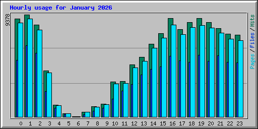 Hourly usage for January 2026