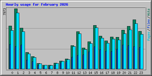 Hourly usage for February 2026