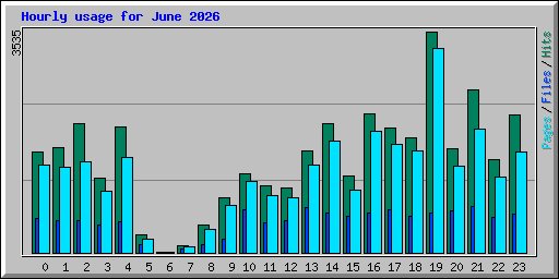 Hourly usage for June 2026